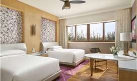 Classic King/ Twin Room