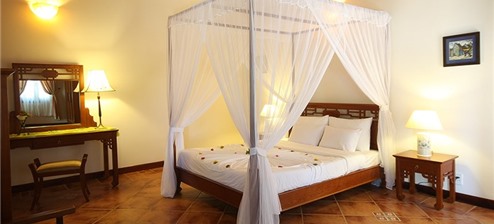 Phòng Hướng Vườn (Garden View Room)