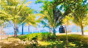TÂN SƠN NHẤT CÔN ĐẢO RESORT TÂN SƠN NHẤT CÔN ĐẢO RESORT