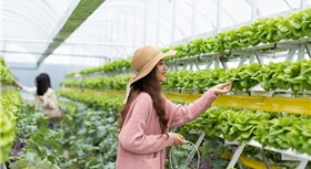 Khách sạn Ladalat