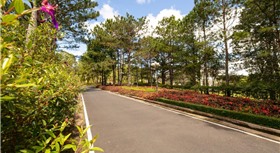 Sam Tuyền Lâm Resort