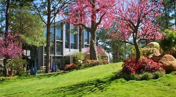 Terracotta Hotel & Resort Dalat