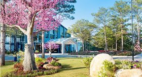 Terracotta Hotel & Resort Dalat