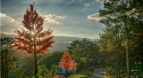 Terracotta Hotel & Resort Dalat