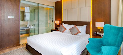 Superior(New Orient Hotel Da Nang)