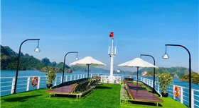 Apricot President Cruise