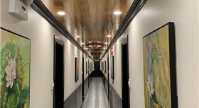 Apricot President Cruise