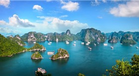 Apricot President Cruise