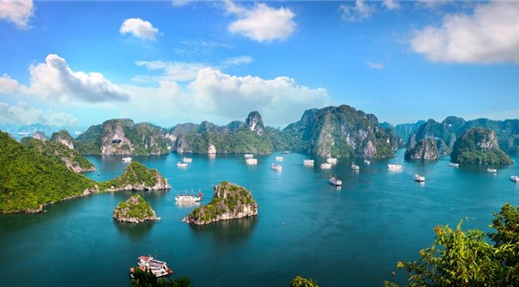 Apricot President Cruise