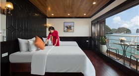 Apricot President Cruise