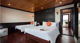 Apricot President Cruise