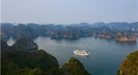 Apricot President Cruise