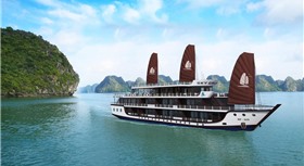 Apricot President Cruise