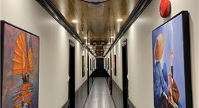 Apricot President Cruise