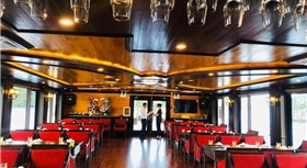 Apricot President Cruise