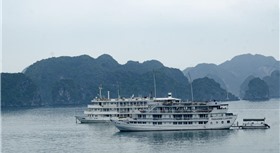 Paradise Luxury Sails Cruise