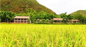 Sol Bungalows Mai Châu Hotel & Resort Sol Bungalows Mai Châu Hotel & Resort