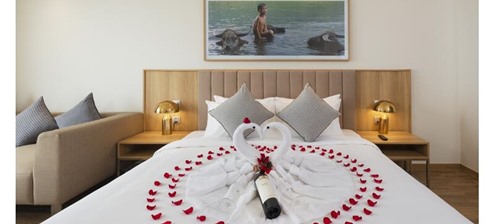 Phòng Senior Deluxe Giường Đôi