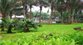Cúc Phương Resort Ninh Bình