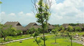 Cúc Phương Resort Ninh Bình