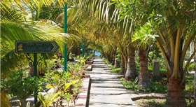 Con Gà Vàng Resort