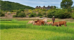 ZANNIER HOTEL BÃI SAN HÔ PHÚ YÊN