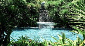 TIA wellness đà nẵng