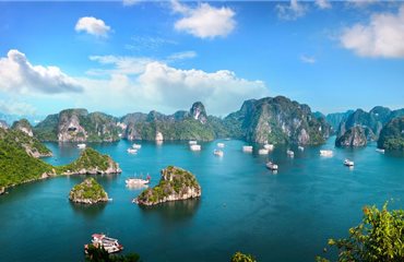 Apricot President Cruise