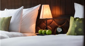 Flamingo Luxury Cruises