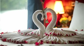 Flamingo Luxury Cruises